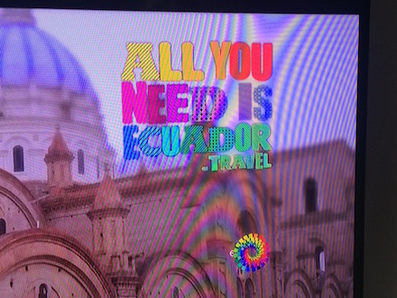 all-you-need-is-ecuador